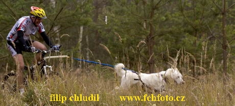 ME Esdra 2005 - 291.jpg